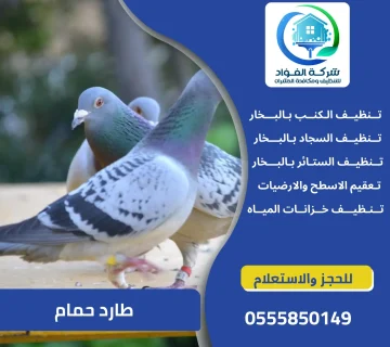 طارد حمام في العين