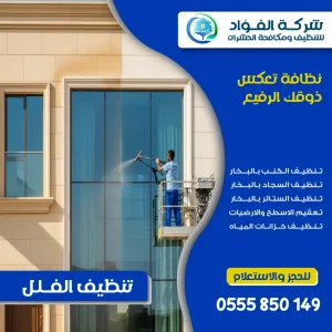 شركة تنظيف فلل